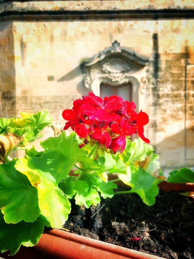 Palazzo Salia Bed & Breakfast Lecce Ngoại thất bức ảnh
